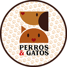 Perros & Gatos Boutique
